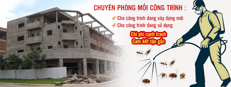 diệt mối tại nhà Hưng Yên